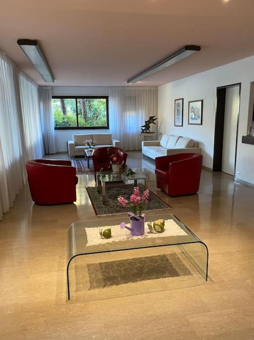 Ascona: Residenza Sabrina,App 2.5 Locali E Piscina Διαμέρισμα Εξωτερικό φωτογραφία